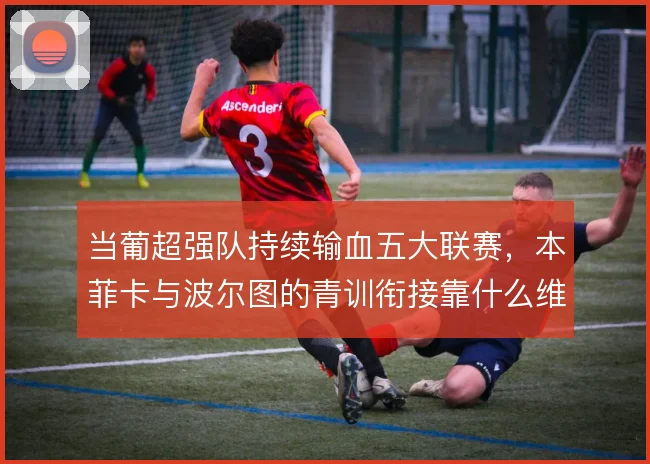 当葡超强队持续输血五大联赛,本菲卡与波尔图的青训衔接靠什么维持