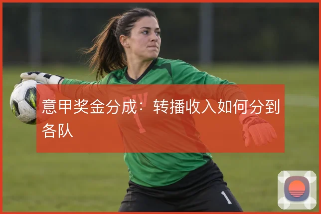 意甲奖金分成：转播收入如何分到各队